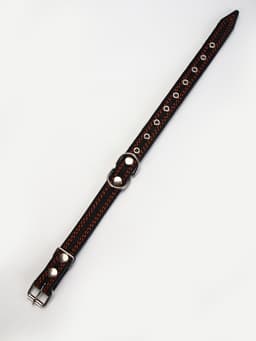 Ошейник кожаный усиленный капроном с полукольцом, 55×2.5 см, ОШ 27-53 см, чёрный