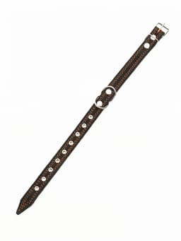 Ошейник кожаный усиленный капроном с полукольцом, 55×2.5 см, ОШ 27-53 см, чёрный
