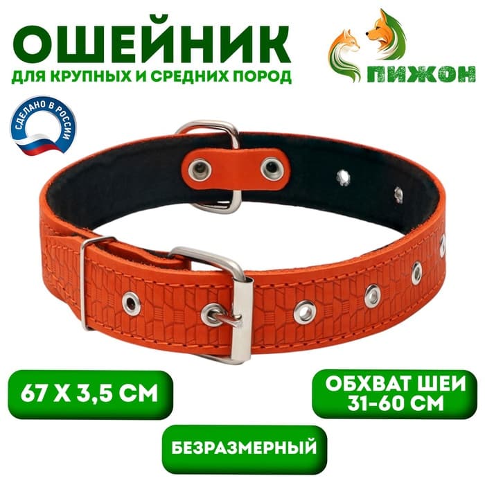 Ошейник тиснёный, 67×3.5 см, ОШ 31-60 см, на фетре, безразмерный, кожа, оранжевый