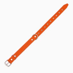 Ошейник тиснёный, 67×3.5 см, ОШ 31-60 см, на фетре, безразмерный, кожа, оранжевый