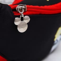 Сумка поясная, 25×6×13 см, Злодейки