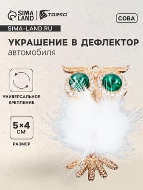 Украшение в дефлектор автомобиля «Сова»