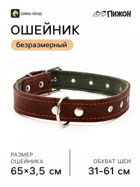 Ошейник комбинированный, безразмерный, 65×3.5 см, ОШ 31-61 см, кожа, брезент, коричневый