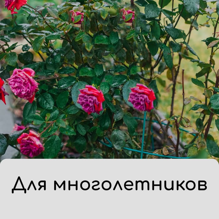 Чехол для растений, на завязках, 60×56 см, спанбонд с УФ-стабилизатором, плотность 60 г/м², МИКС, Greengo