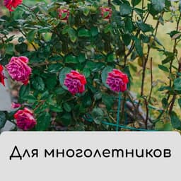 Чехол для растений, на завязках, 60×56 см, спанбонд с УФ-стабилизатором, плотность 60 г/м², МИКС, Greengo