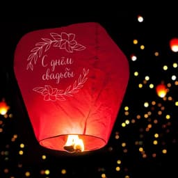 Фонарик желаний «С днём свадьбы», купол