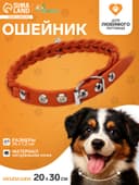Ошейник, 1.2×36 см, ОШ 20-30 см, плетёный, кожа, оранжевый