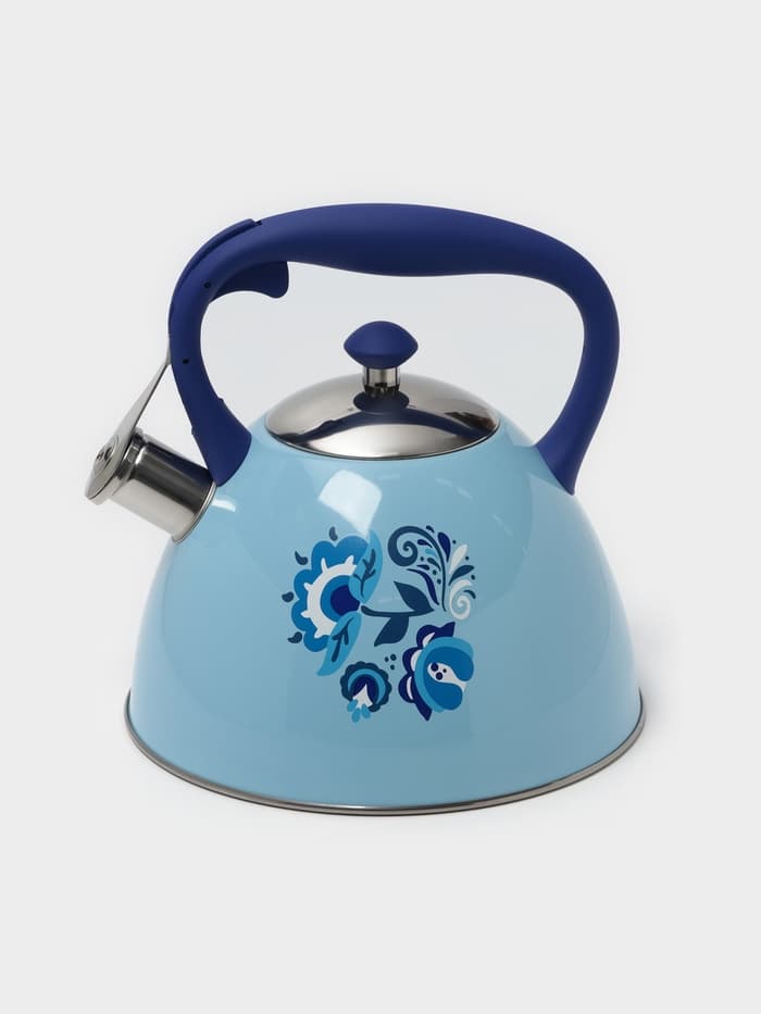 Чайник Доляна «Свиристель», 3 л, со свистком, нержавеющая сталь, голубой