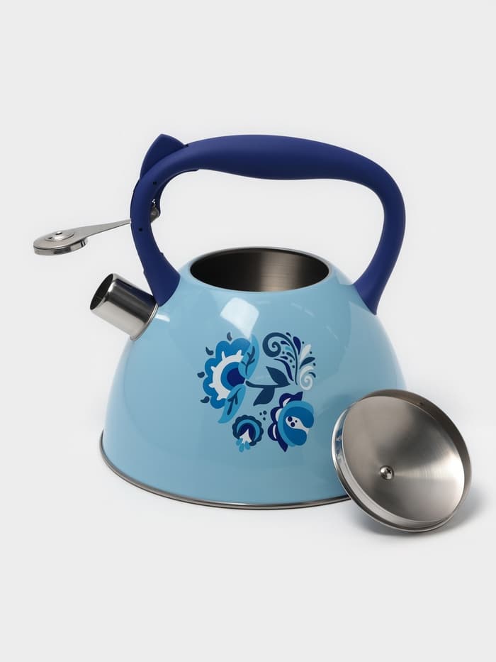 Чайник Доляна «Свиристель», 3 л, со свистком, нержавеющая сталь, голубой