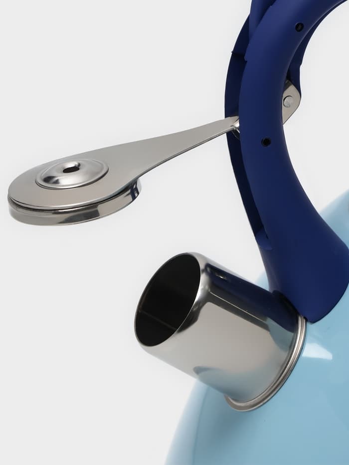 Чайник Доляна «Свиристель», 3 л, со свистком, нержавеющая сталь, голубой