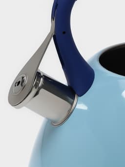 Чайник Доляна «Свиристель», 3 л, со свистком, нержавеющая сталь, голубой