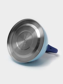 Чайник Доляна «Свиристель», 3 л, со свистком, нержавеющая сталь, голубой