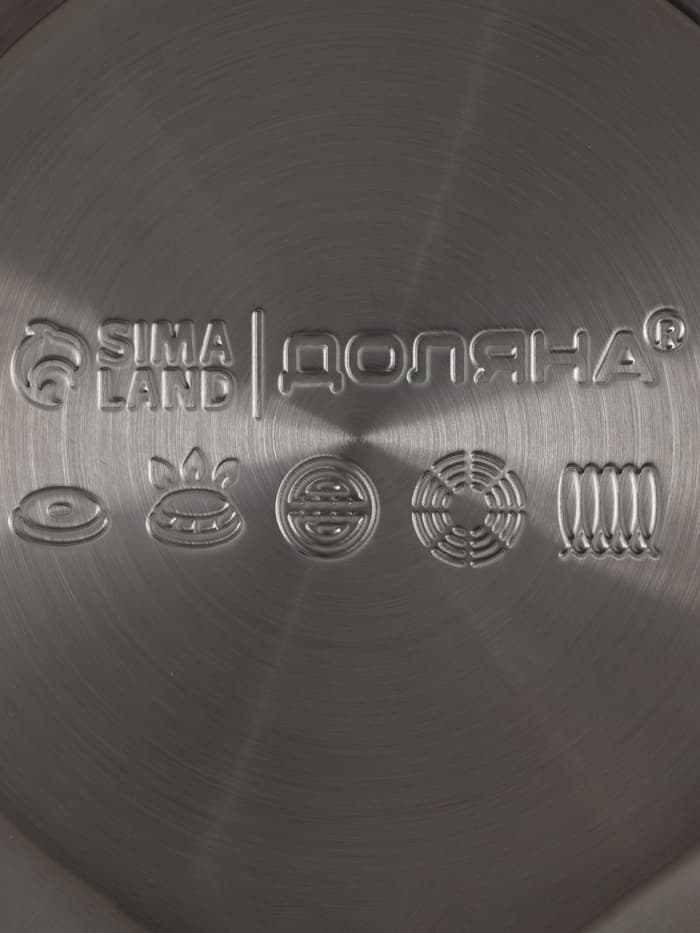 Чайник Доляна «Свиристель», 3 л, со свистком, нержавеющая сталь, голубой