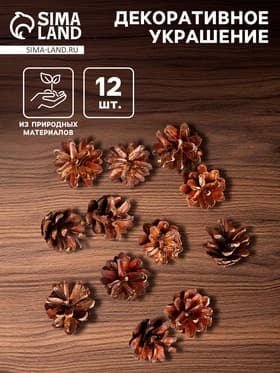 Новогодний декор «Набор натуральных шишек», 12 шт.