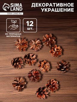 Новогодний декор «Набор натуральных шишек», 12 шт.