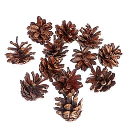 Новогодний декор «Набор натуральных шишек», 12 шт.