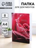 Папка для семейных документов Docs, 8 файлов А4