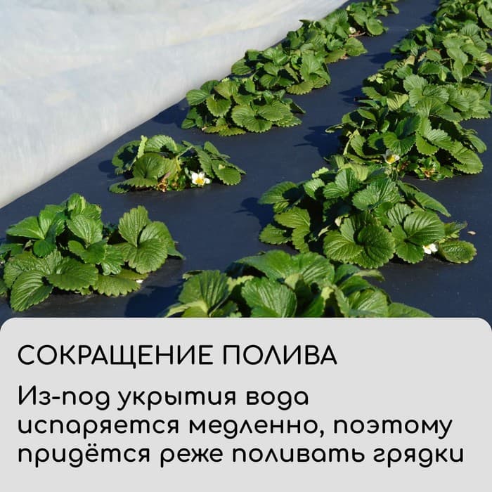 Полоса защитная для междурядий, 20×0.3 м, плотность 80 г/м², спанбонд с УФ-стабилизатором, чёрная, Greengo, Эконом 30%