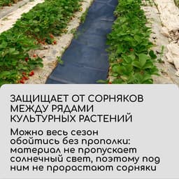 Полоса защитная для междурядий, 20×0.3 м, плотность 80 г/м², спанбонд с УФ-стабилизатором, чёрная, Greengo, Эконом 30%