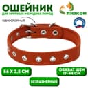 Ошейник однослойный, безразмерный, 56×2.5 см, ОШ 17-44 см, кожа, оранжевый