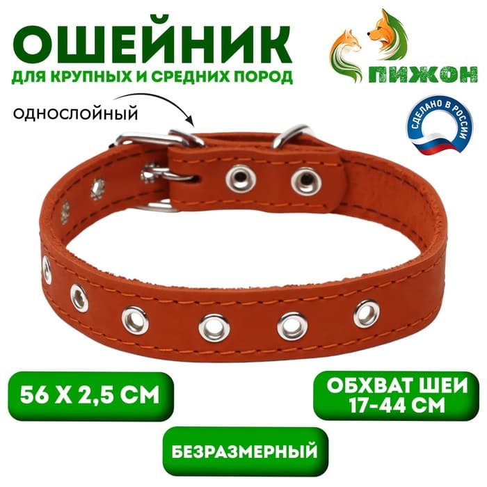 Ошейник однослойный, безразмерный, 56×2.5 см, ОШ 17-44 см, кожа, оранжевый
