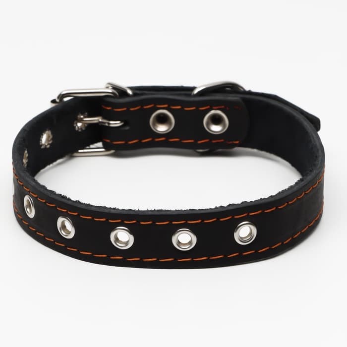 Ошейник однослойный, безразмерный, 56×2.5 см, ОШ 17-44 см, кожа, чёрный