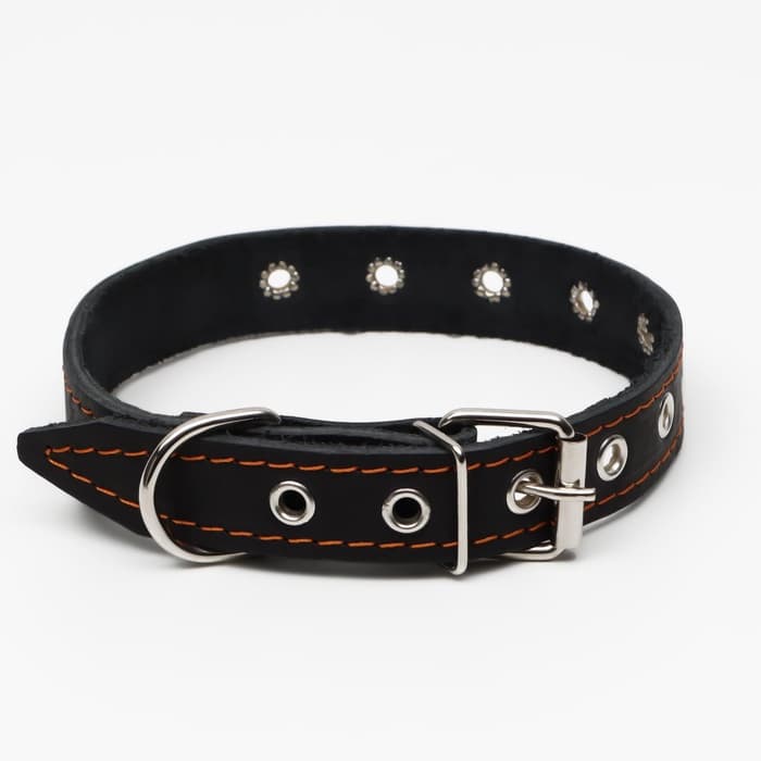 Ошейник однослойный, безразмерный, 56×2.5 см, ОШ 17-44 см, кожа, чёрный