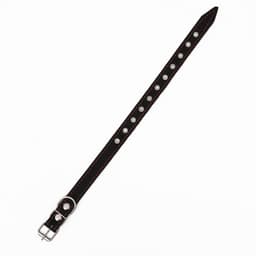 Ошейник однослойный, безразмерный, 56×2.5 см, ОШ 17-44 см, кожа, чёрный