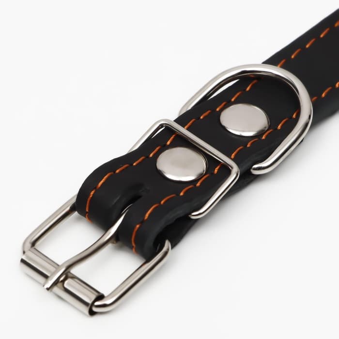 Ошейник однослойный, безразмерный, 56×2.5 см, ОШ 17-44 см, кожа, чёрный