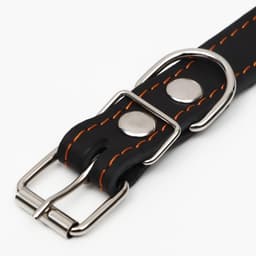 Ошейник однослойный, безразмерный, 56×2.5 см, ОШ 17-44 см, кожа, чёрный