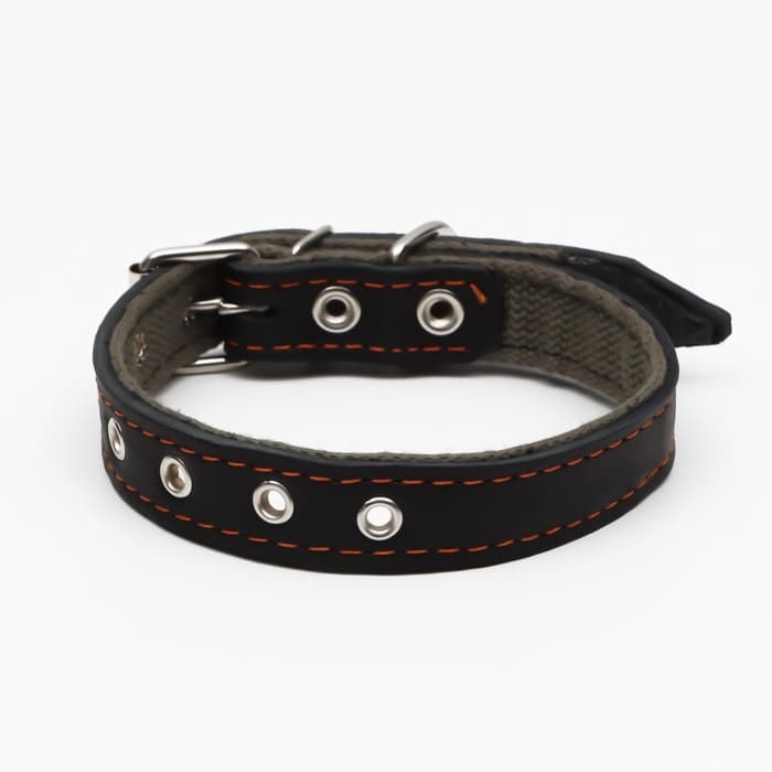Ошейник комбинированный, безразмерный, 54×2.5 см, ОШ 17-45 см, кожа, брезент, чёрный