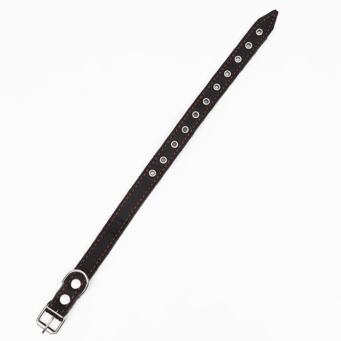 Ошейник комбинированный, безразмерный, 54×2.5 см, ОШ 17-45 см, кожа, брезент, чёрный