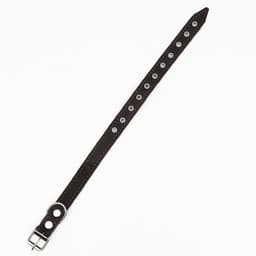 Ошейник комбинированный, безразмерный, 54×2.5 см, ОШ 17-45 см, кожа, брезент, чёрный