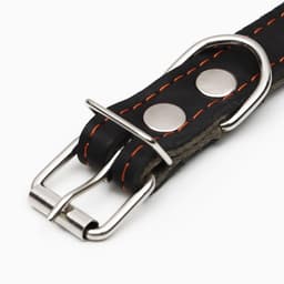 Ошейник комбинированный, безразмерный, 54×2.5 см, ОШ 17-45 см, кожа, брезент, чёрный