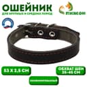 Ошейник комбинированный, 53×2.5 см, ОШ 35-45 см, кожа, брезент, чёрный