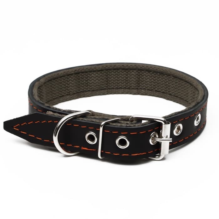 Ошейник комбинированный, 53×2.5 см, ОШ 35-45 см, кожа, брезент, чёрный