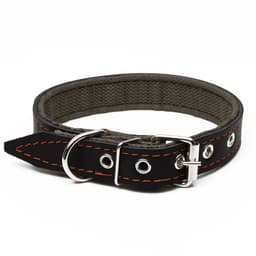 Ошейник комбинированный, 53×2.5 см, ОШ 35-45 см, кожа, брезент, чёрный