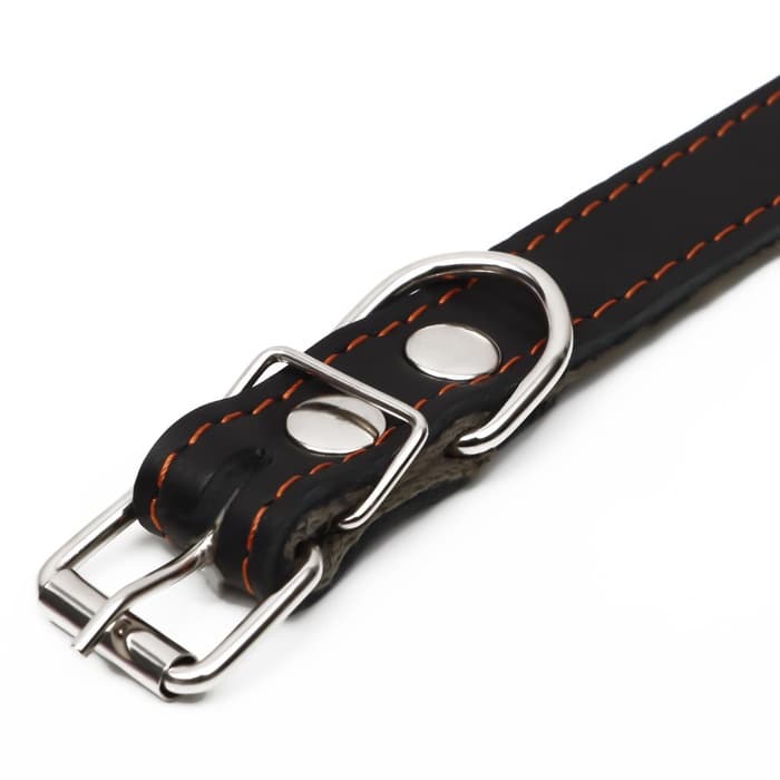 Ошейник комбинированный, 53×2.5 см, ОШ 35-45 см, кожа, брезент, чёрный