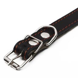 Ошейник комбинированный, 53×2.5 см, ОШ 35-45 см, кожа, брезент, чёрный
