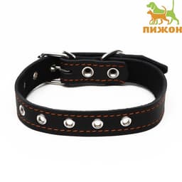 Ошейник безразмерный, 54×2.5 см, ОШ 19-47 см, на синтепоне, кожа, чёрный