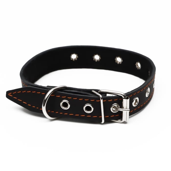 Ошейник безразмерный, 54×2.5 см, ОШ 19-47 см, на синтепоне, кожа, чёрный