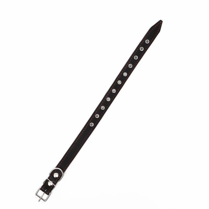 Ошейник безразмерный, 54×2.5 см, ОШ 19-47 см, на синтепоне, кожа, чёрный