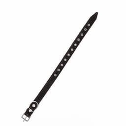 Ошейник безразмерный, 54×2.5 см, ОШ 19-47 см, на синтепоне, кожа, чёрный