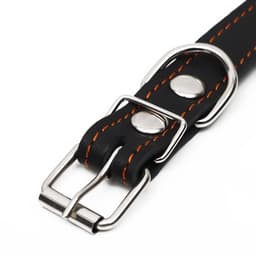 Ошейник безразмерный, 54×2.5 см, ОШ 19-47 см, на синтепоне, кожа, чёрный