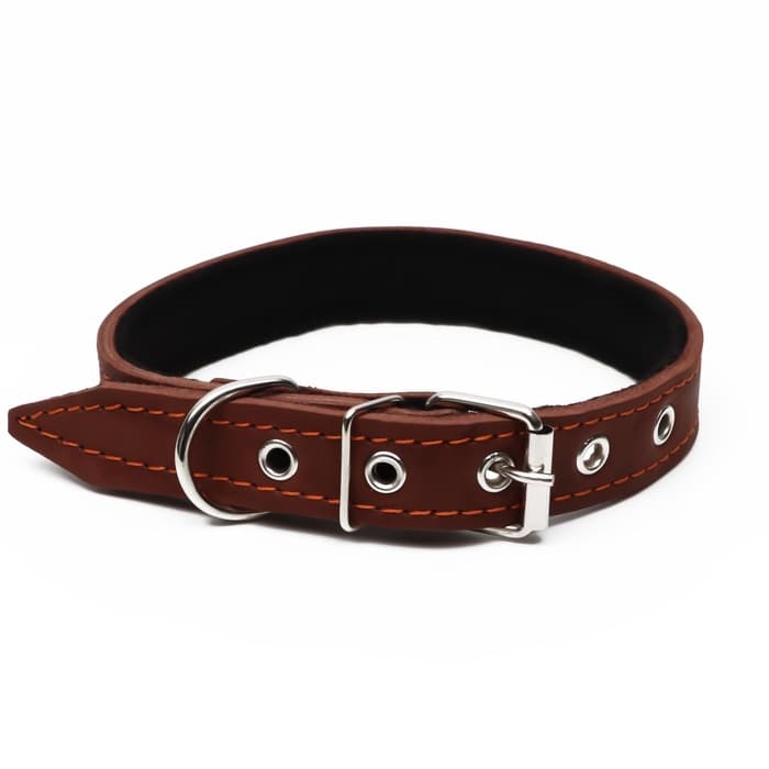 Ошейник, 56×2.5 см, ОШ 35-45 см, на синтепоне, кожа, коричневый