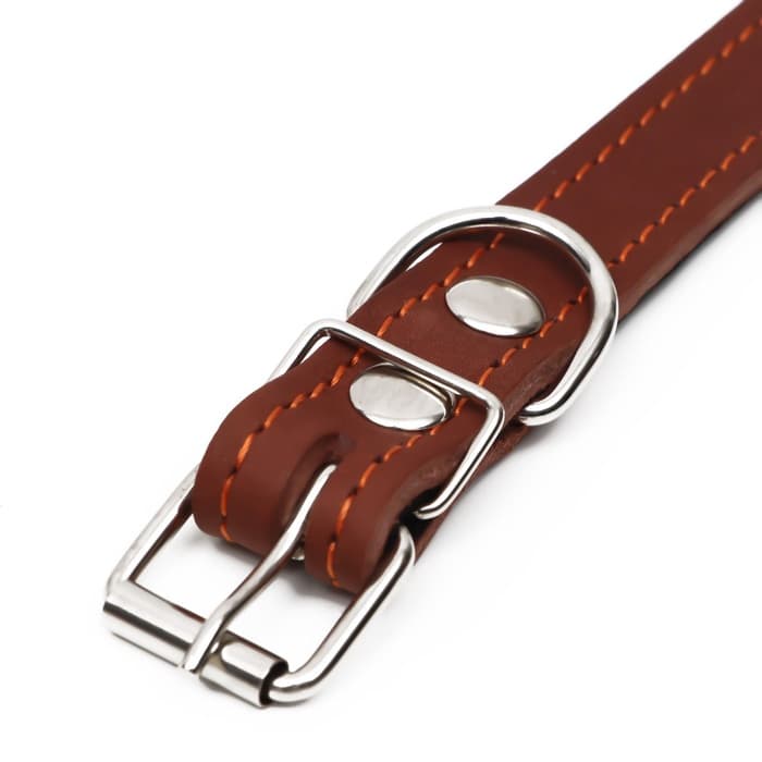 Ошейник, 56×2.5 см, ОШ 35-45 см, на синтепоне, кожа, коричневый