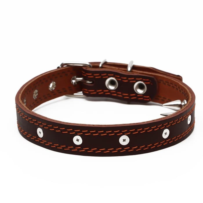 Ошейник «Строгий шип», 56×2.5 см, ОШ 35-45 см, кожа, коричневый