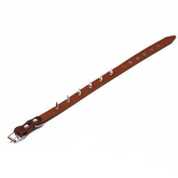 Ошейник «Строгий шип», 56×2.5 см, ОШ 35-45 см, кожа, коричневый