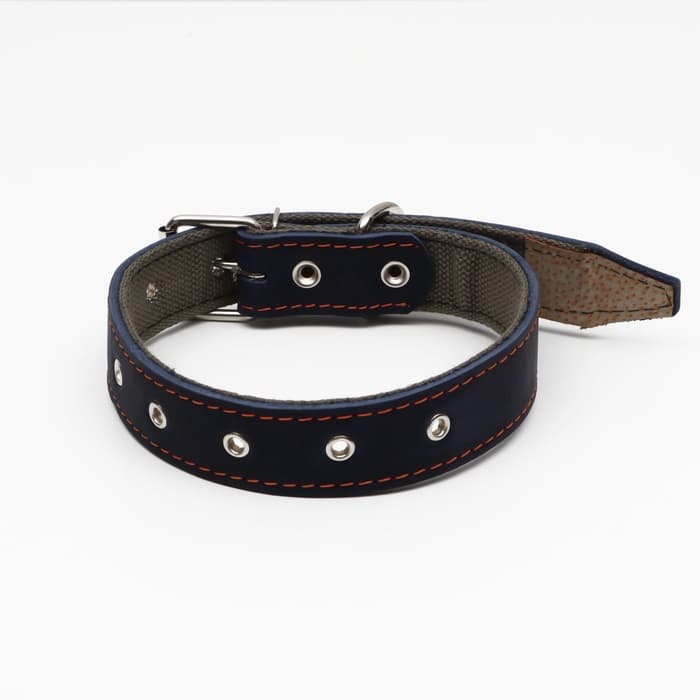 Ошейник комбинированный, безразмерный, 70×3.5 см, ОШ 25-60 см, кожа, брезент, синий