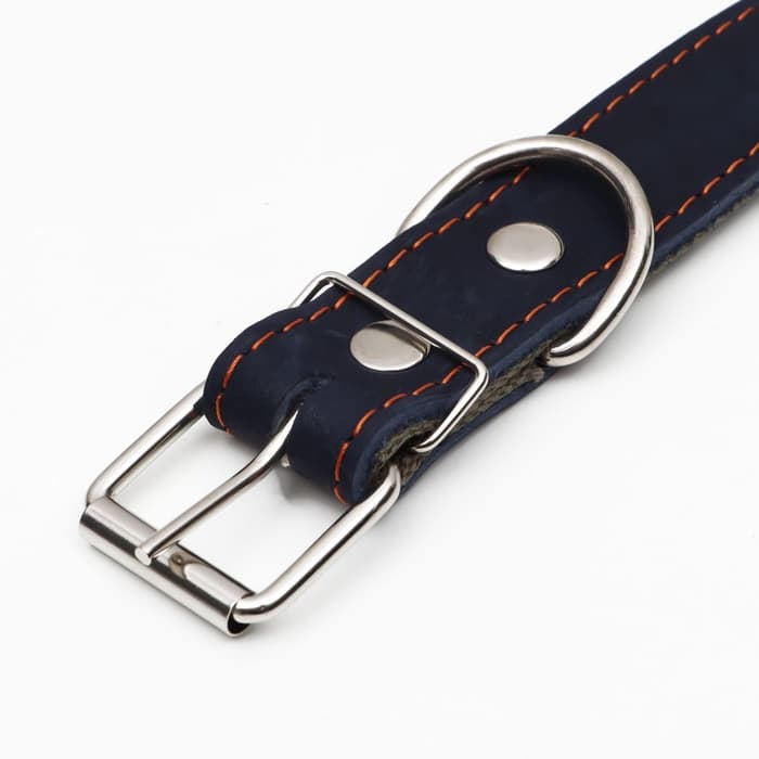 Ошейник комбинированный, безразмерный, 70×3.5 см, ОШ 25-60 см, кожа, брезент, синий